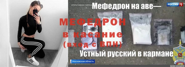 трава Корсаков