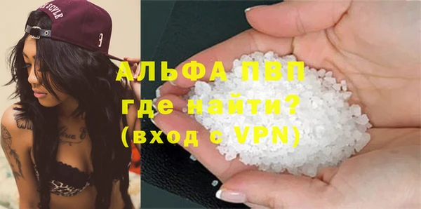 трава Корсаков