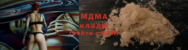 трава Корсаков
