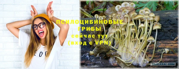 трава Корсаков