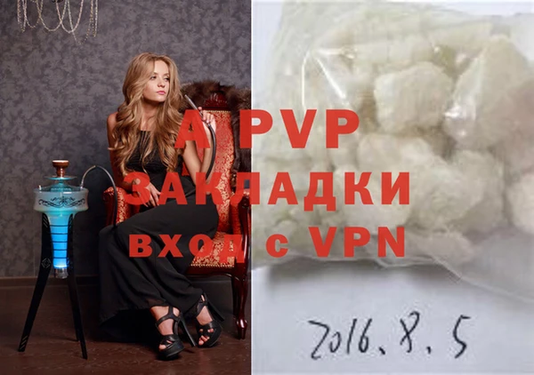 трава Корсаков