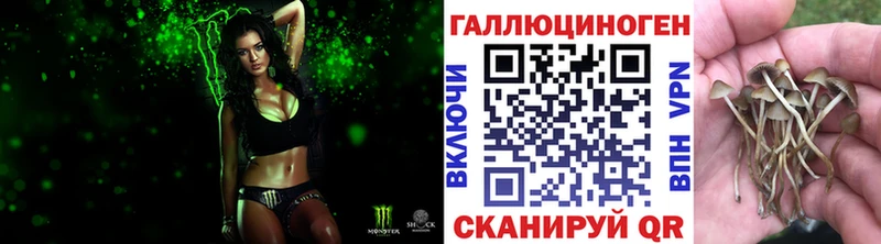 Галлюциногенные грибы GOLDEN TEACHER  kraken как зайти  Ясный 